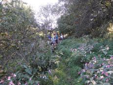 Rueckersbaher Schlucht-07.jpg